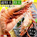 母の日 まだ間に合う 皇帝の海老 天然 シータイガー 特大サイズ エビ えび 海老 特大 冷凍 まとめ買い 【選べる2尾or4尾】 個包装パック パーティー料理...