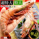 母の日 まだ間に合う 皇帝の海老 天然 シータイガー 選べる 超特大サイズ or 特大サイズ エビ えび 海老 超特大 冷凍 1尾 単品 バラ売り 個包装パック...