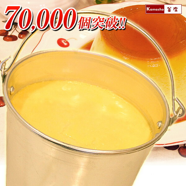 子供 や 友達 への 誕生日プレゼント に♪【アリスの バケツプリン 】 バレンタイン ギフト 子供 チョコ以外 送料無料 通販用 冷凍 誕生日ケーキ パーティー かわいい プレゼント 誕生日ギフト スイーツ プリン ぷりん お取り寄せ あす楽