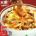 日東ベストの牛丼DX【185g×5パック】