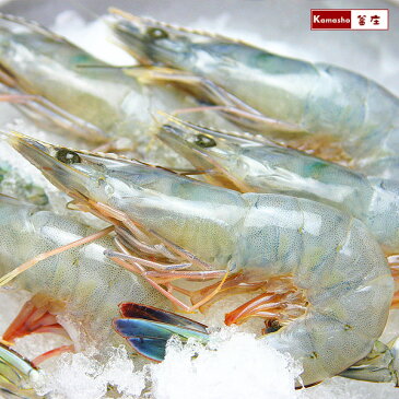 【便利な 小分け 5尾入】 天使の海老 天使のエビ 天使のえび えび エビ 海老 刺身 冷凍 1パック 5尾入 小分け 【 年末年始 お正月 おせち クリスマス パーティー 料理 オードブル ごちそう おせち料理 】【1個購入で1パック(5尾入)お届けします】