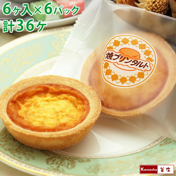 焼きプリンタルト 6ヶ入×6パック 計36ヶ 焼プリンタルト 学校給食デザート 学校給食 お配り ばらまき バレンタイン チョコ以外 義理チョコ 子供 お取り寄せ 給食 デザート 個包装 あす楽