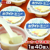 学校給食デザート ホワイトミニー 40ヶ入 1箱 冷凍 バラ詰め 業務用 お取り寄せ あ...