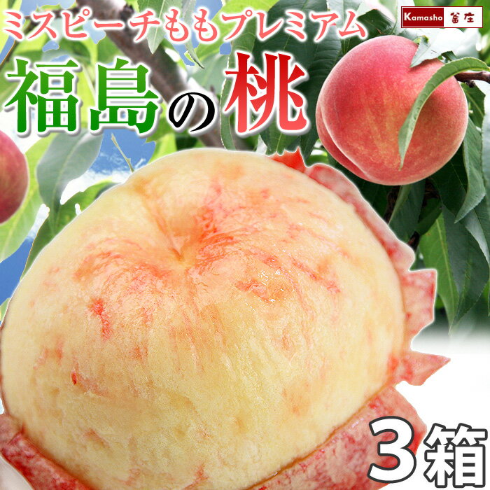 桃 ギフト 福島 【 予約 福島 桃 あかつき 特秀品 約2kg 6-7玉入】×3箱 お中元 御中元 ギフト 桃 もも ..