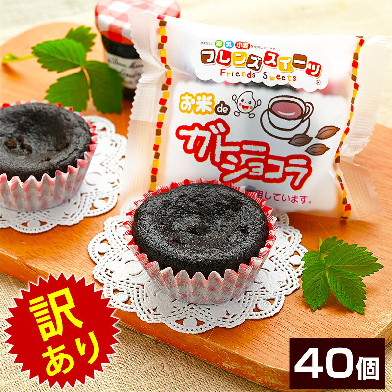 【訳あり・箱つぶれ】正規品より10％OFF お米deガトーショコラ 1箱 40ヶ入 アレルギー対応 学校給食デザート お菓子 米粉スイーツ 学校給食 フレンズスイーツ 米粉使用 グルテンフリー 冷凍 バラ詰め 個包装 業務用 訳アリ・メーカー箱なのでギフト包装不可