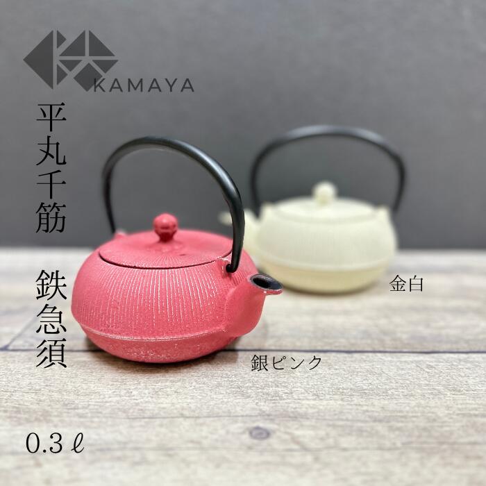 南部鉄器 急須 おしゃれ 鉄急須 かわいい 平丸千筋 内面・蓋裏 ホーロー加工 モダン 鉄瓶 おすすめ 日..