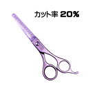 ギフト スキバサミ 散髪 はさみ カット率 20% 髪 グリーンベル 良く切れる
