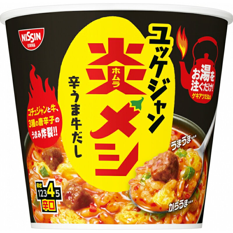 日清 炎メシ 辛うまユッケジャン 106g 6個【送料別】