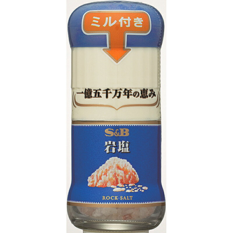 S&B エスビー ミル付き岩塩 40g×30個 1