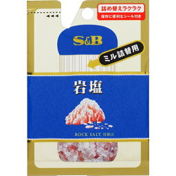 S&B エスビー 岩塩 ミル詰替用 袋 36g×10個