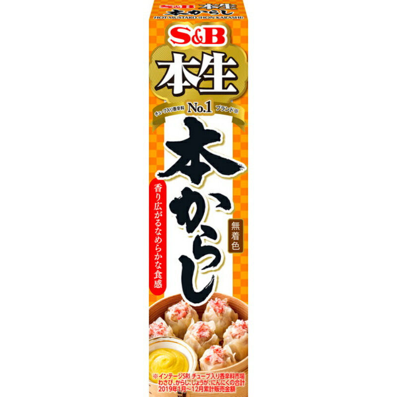 S&B エスビー 本生 本からし 43g×10個