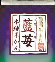 望月茶飴本舗 ひとくちようかん ブルーベリー羊かん 38g×10個