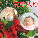 写真入り マグネット【大 名入れ】(メッセージ名入れ可)赤ち...