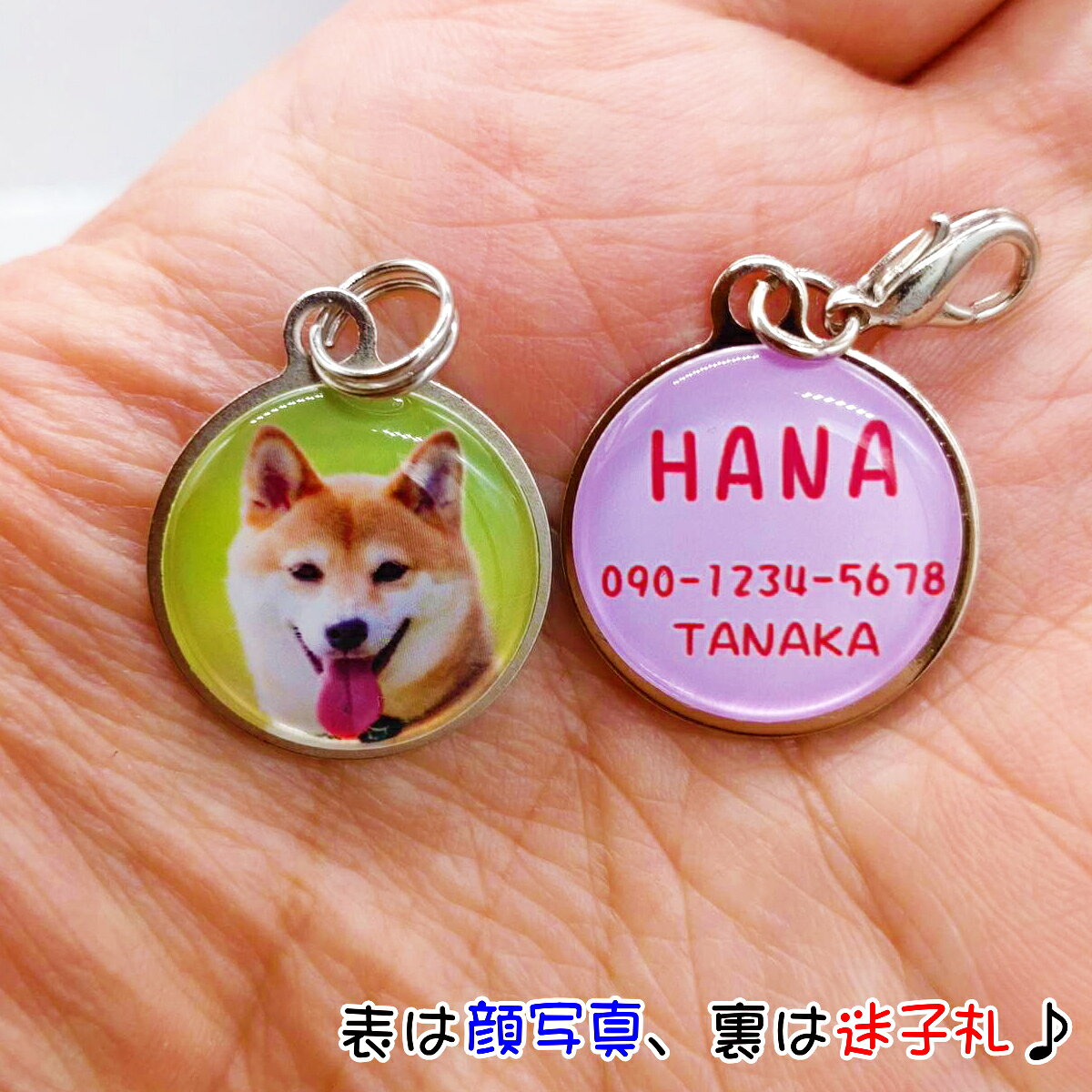 迷子札 犬 猫 写真入り ペット いぬ ねこ 迷子札 名入れ 名前入り キーホルダー ネ...