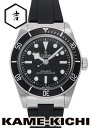 チューダー/チュードル ブラックベイ Ref.7941A1A0NU 新品 ブラック (TUDOR Black Bay)(2)