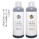 [P5倍 4/30 13:00-5/1] 2本セット アレス カラーシャンプー・トリートメント シルバー 200ml 各1本 シルバー アッシュ系 持続 キープ シャンプー