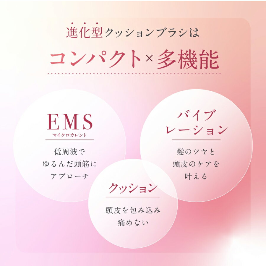 WAVEWAVE EMS �֥饷�������ߥ� WAVEWAVE EMS Brush Air Mini �������٤�EMS���å����֥饷