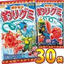 【あす楽対応 送料無料】バンダイ ポケモン釣りグミ 1袋（14g）×30袋【 お菓子 おやつ バンダイ 食玩 ぽけもん ポケモン キャラクター グッズ コレクション 大人買い】【販促品 こどもの日 景品 お菓子 駄菓子】