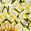 【ゆうパケットメール便送料無料】神谷企画 ココナッツクッキー 1袋(1個入)×50袋【業務用 大量 プレゼント イベント 個包装 ビスケット 子供 駄菓子屋 1...
