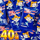 【ゆうパケットメール便送料無料】まじめなおかし 業務用 ミレービスケット 1袋(1枚入)×40袋【業務用 大量 お菓子 おやつ ビスケット お試し 子供 ポイン...