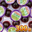 【送料無料】江口製菓 なつかし駄菓子 グレープボール 300個【業務用 大量 駄菓子 ゼリー お菓子 詰め合わせ 子供 イベント 菓子まき つかみ取り 個包装 ...