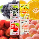 【平日正午までの注文で最短翌日お届け】【送料無料】谷尾 国産果汁を使った「おうちで凍らせて食べる アイス 」4種類 合計16本 詰め合わせセット熱中症対策に!凍...