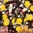 【ゆうパケットメール便送料無料】花まる マヨいか姿フライ(25枚)【大量 イカ天 お菓子 おつまみ 珍味 お試し ポイント消化 個包装 子供 駄菓子】【販促品 ...