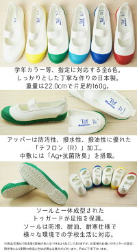 21cm〜30cmMoonstarTEFカラースクール上履きムーンスターテフカラージュニア