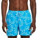 ナイキ 水着 メンズ スウッシュ ライン 5 ボレーショーツ ショートパンツ インナー付き ボトムス 海パン 水陸両用 アパレル トランクス NESSD509 ...