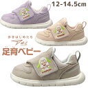 \最大7%クーポン有 6/25限定/瞬足 ベビーシューズ アキレス いないいないばあっ! 男の子 スニーカー 女の子 子供靴 キッズ 足育ベビー ローカット ベルクロ キッズシューズ ワンワン グレー ナチュラル ラベンダー うーたん シュンソク SJB 0021 evid