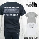ザ・ノース・フェイス|THE NORTH FACE Tシャツ キッズ チャイルド NTT32556 トドラーショートスリーブヒストリカルロゴティー 半袖 バッグプリント クルーネック 丸首 子供服 トップス UVケア アウトドア キャンプ アパレル ロゴ 最強翌日配送 メール便送料無料 evid