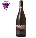【あす楽】【地域貢献】ココ・ファーム・ワイナリー 2019 第二楽章 750ml COCOFARM&WINERY 栃木県 足利市 日本ワイン 国産ブドウ マスカットベーリーA 赤ワイン ミディアムボディ 辛口 ココファーム