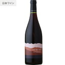 【あす楽】【地域貢献】ココ・ファーム・ワイナリー 第二楽章 750ml COCOFARM&WINERY 栃木県 足利市 日本ワイン 国産ブドウ マスカットベーリーA 赤ワイン ミディアムボディ 辛口 ココファーム