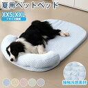 ★期間限定タイムセール★犬 ベッド 夏用 あごのせペットマット 犬用 猫 ひんやり ペットベッド 洗える 小 中 大型犬 高反発 接触冷感素材 枕付き ペット敷きパッド 介護ベッド ソフトクールマット ペットマット クールマット 速乾 暑さ対策 軽量 涼しい 快適 通気性