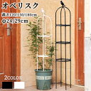 ★期間限定タイムセール★オベリスク 支柱 トレリス 高さ調節可能 2/3/4段 操作簡単 金属製 簡易組立式 つる性植物 つる花 バラ用 ガーデン 支柱 花支え 花 園芸用品 バラ 薔薇 ガーデニング 誘引 植物サポート オベリスクアーチ プランター 植木鉢 庭 栽培
