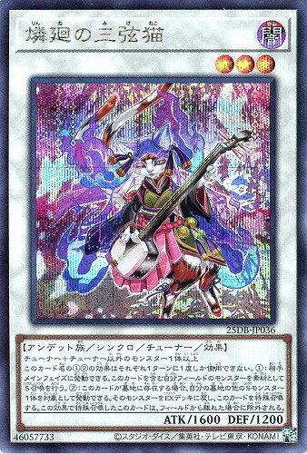 楽天市場】遊戯王 シンクロモンスターの通販