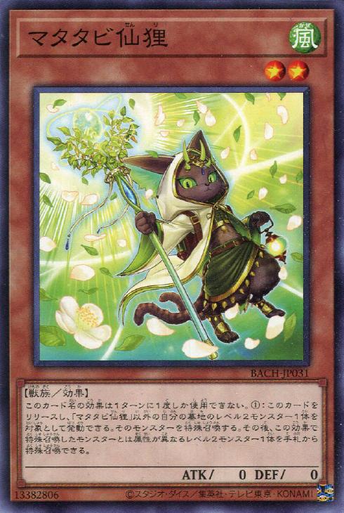 遊戯王 BACH-JP031 ノーマル 効果モンスター マタタビ仙狸 【中古】【Sランク】