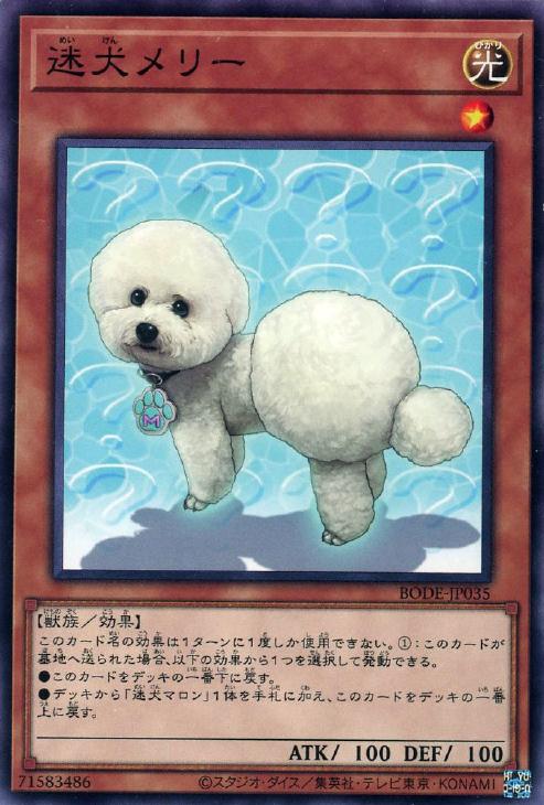 ޤ㤨ͷ BODE-JP035 Ρޥ ̥󥹥 ¸꡼ šۡS󥯡ۡפβǤʤ25ߤˤʤޤ