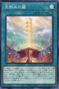 遊戯王 DBAD-JP028 ノーマル 魔法 天御巫の闔 【中古】【Sランク】