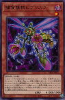 遊戯王 DIFO-JP017 字レア 効果モンスター 捕食植物ビブリスプ 【中古】【Sランク】