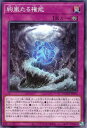 遊戯王 DOOD-JP076 ノーマル 罠 絢嵐たる権能 【中古】【Sランク】