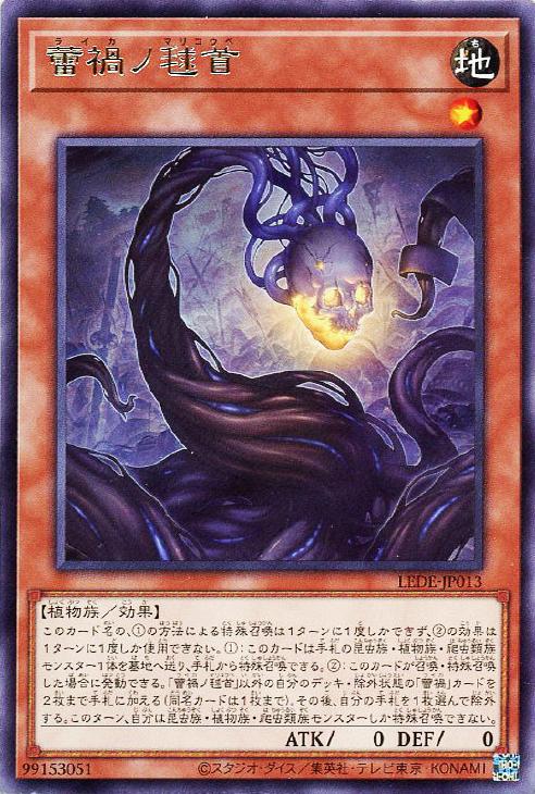 遊戯王 LEDE-JP013 字レア 効果モンスター 蕾禍ノ毬首 【中古】【Sランク】