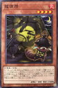 遊戯王 ROTD-JP035 ノーマル 効果モンスター 龍狸燈 【中古】【Sランク】