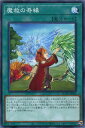 遊戯王 ROTD-JP061 ノーマル 魔法 魔救の奇縁 【中古】【Sランク】