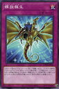 遊戯王 ROTD-JP069 ノーマル 罠 螺旋蘇生 ◆JP069◆【中古】【Sランク】