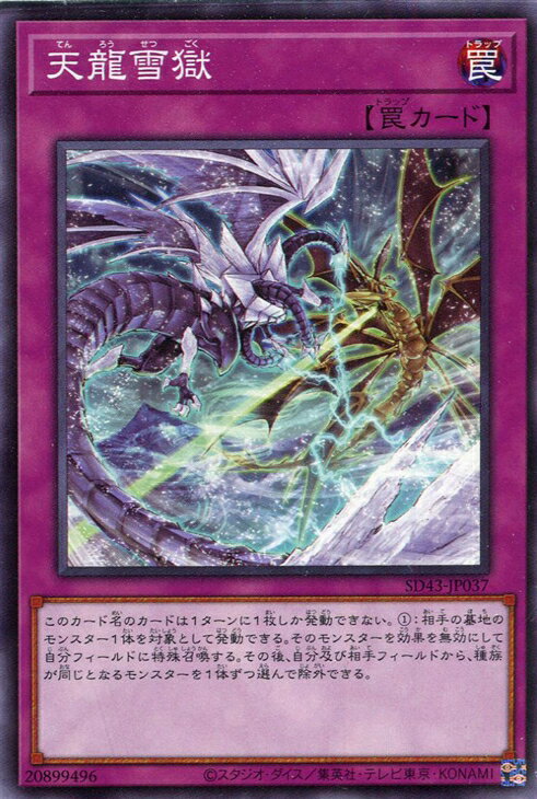 遊戯王 SD43-JP037 ノーマル 罠 天龍雪獄 【中古】【Sランク】