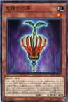 遊戯王 SLT1-JP029 ノーマル 効果モンスター 聖種の影芽 ◆029◆【中古】【Sランク】