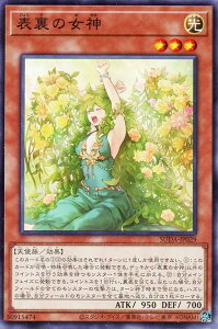 遊戯王 SUDA-JP029 ノーマル 効果モンスター 表裏の女神 【中古】【Sランク】