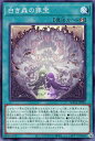 遊戯王 SUDA-JP055 ノーマル 魔法 白き森の罪宝 【中古】【Sランク】