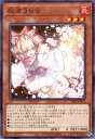 遊戯王 ◆TT01-B◆ TT01-JPB11 ノーマル 効果モンスター ◆B11◆ 灰流うらら ◆B11◆ 【中古】【Sランク】